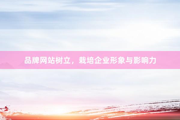 品牌网站树立，栽培企业形象与影响力
