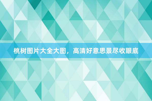 桃树图片大全大图，高清好意思景尽收眼底